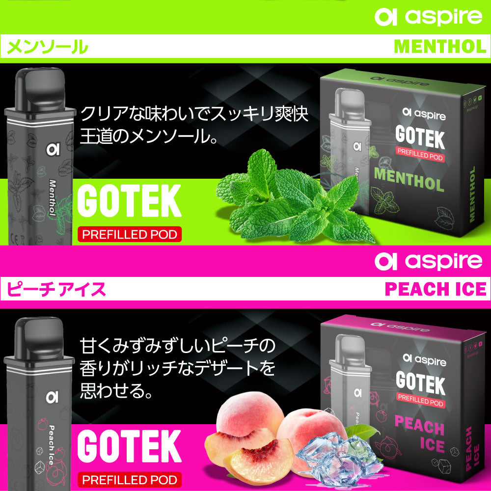 Aspire GOTEK PRO Starter Kit│アスパイア ゴーテック プロ