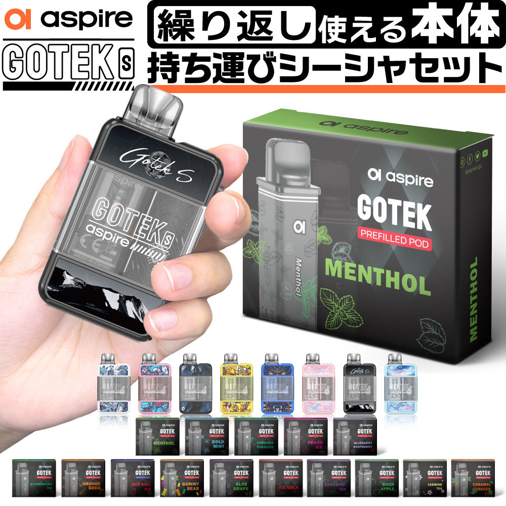 PC-8801mkIISR GOTEK セット Aspire GOTEK S Starter Kit│アスパイア ゴーテック スターターキット